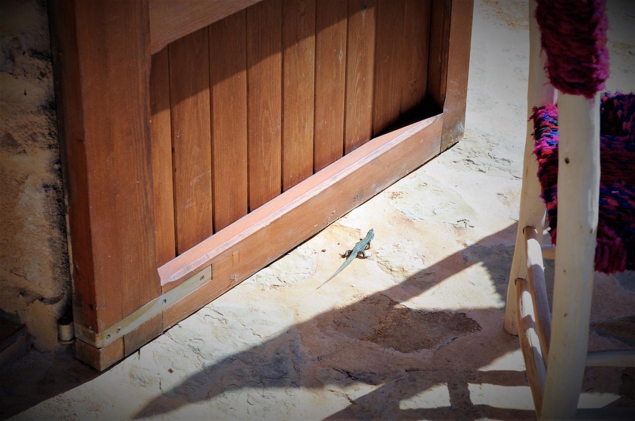 Villa Siamoformentera Bella San Francisco Javier Exterior foto